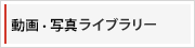 写真・映像ライブラリー