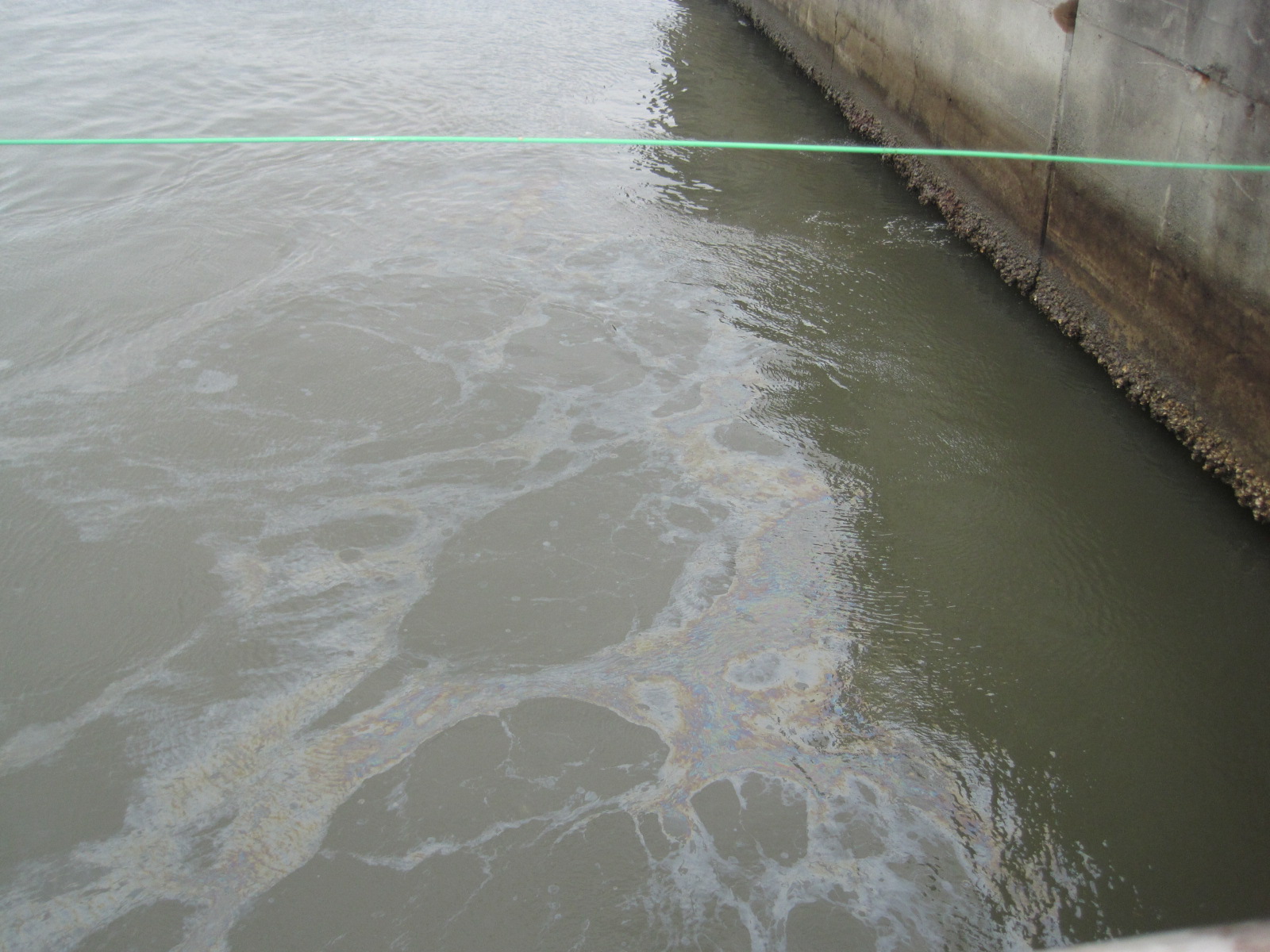 Oil slick near the cartain wall of the Unit 5 and 6