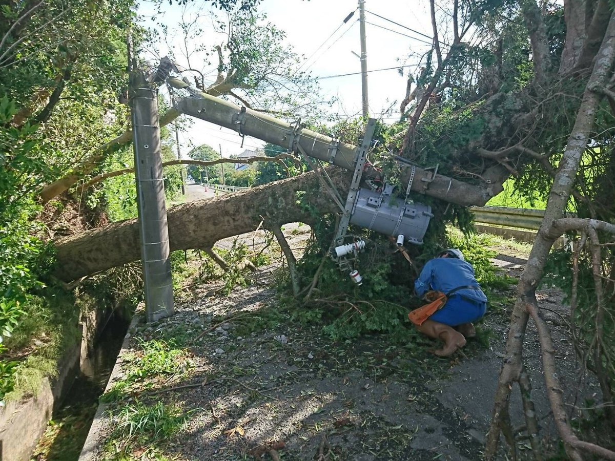 台風15号に伴う停電復旧対応（設備被害の様子）