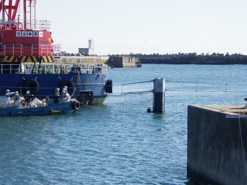 作業員が海上で高耐久網を設置している状況(2024年1月10日撮影)