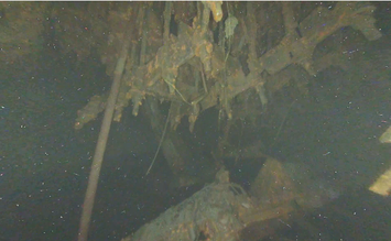 ペデスタル内入口（撮影日3月9日）