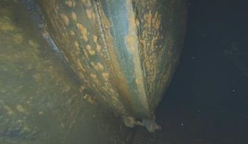 ④：X-1Aペネ（撮影日3月7日）