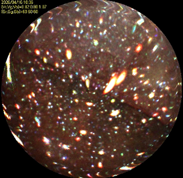 2号機既設原子炉水位計装配管を活用したRPV内部調査の結果について