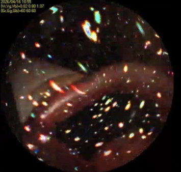 N16Aノズル約1m下