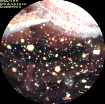 N16Aノズル約3m下