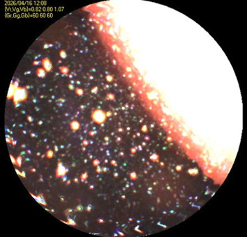 N16Aノズル約6m下（水中）